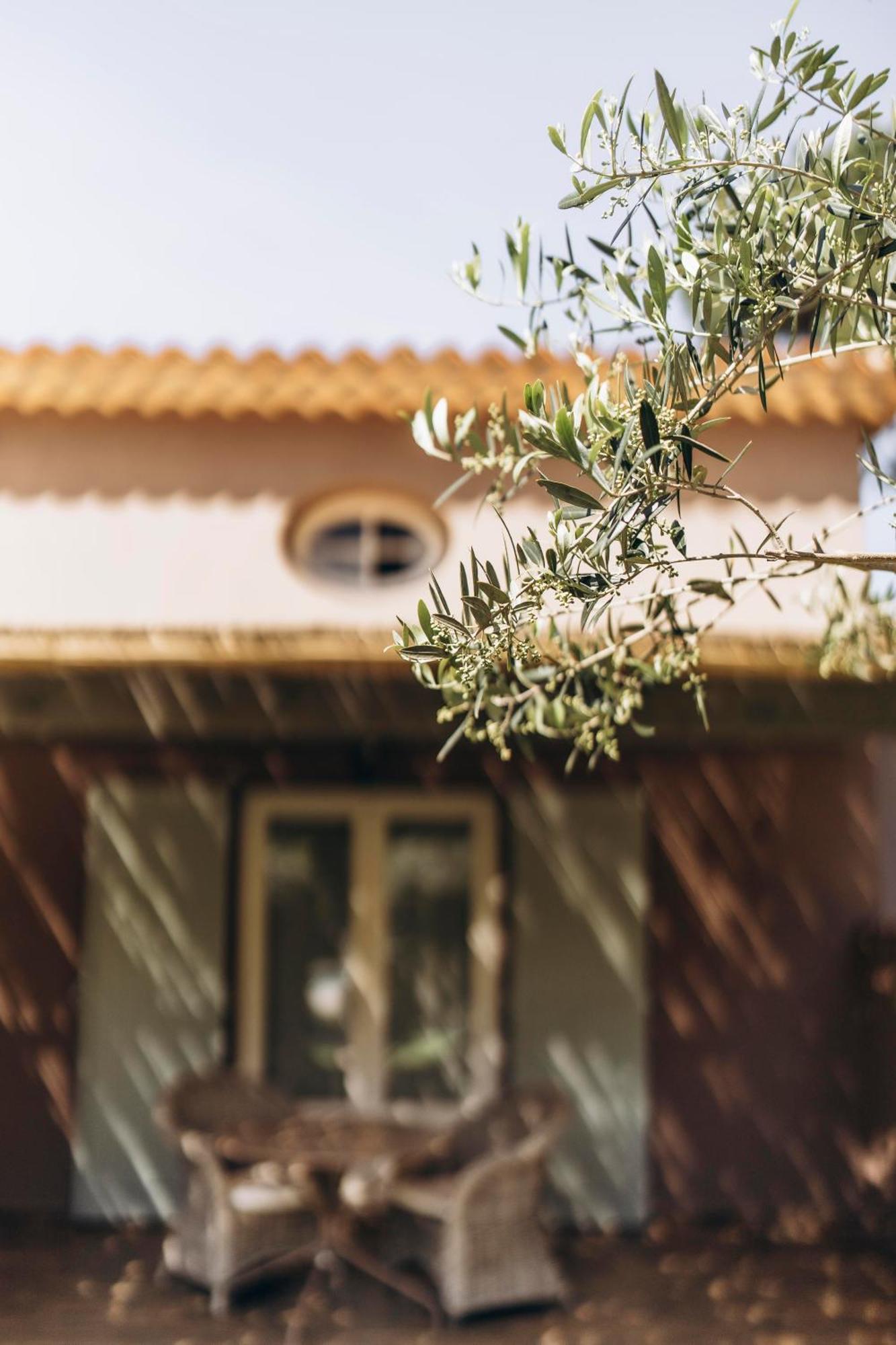 La Villa D'Andrea Ramatuelle Dış mekan fotoğraf