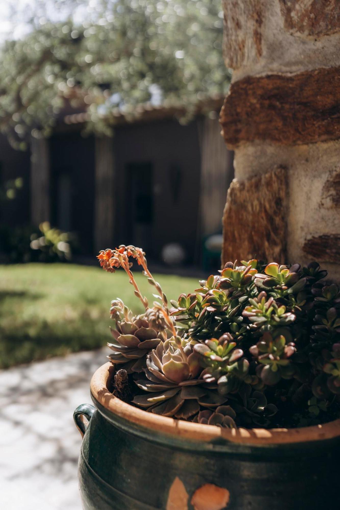 La Villa D'Andrea Ramatuelle Dış mekan fotoğraf